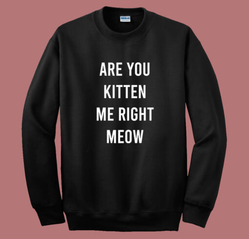 Are You Kitten Me Right Meow Sweatshirt