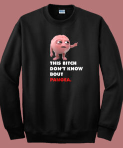 Don’t Know Bout Pangea Sweatshirt