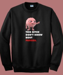 Don’t Know Bout Pangea Sweatshirt