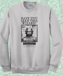 Have You Seen This Wizard Ministry of Magic Crewneck Sweatshirt 1