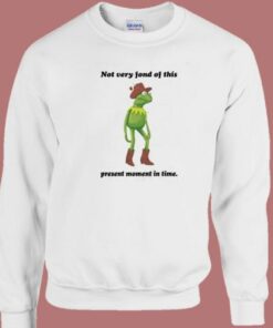 Not Very Fond Of This Sweatshirt 2