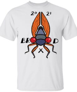 Bienvenue a lete des cigales 2021 9