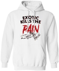 Exotic kills the pain shirt 4 Exotic kills the pain shirt 3
