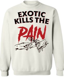 Exotic kills the pain shirt 6 Exotic kills the pain shirt 5