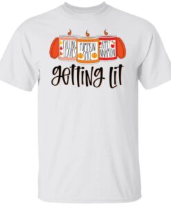 Falling leaves pumpkin spice apple nnamon getting lit shirt Falling leaves pumpkin spice apple nnamon getting lit shirt