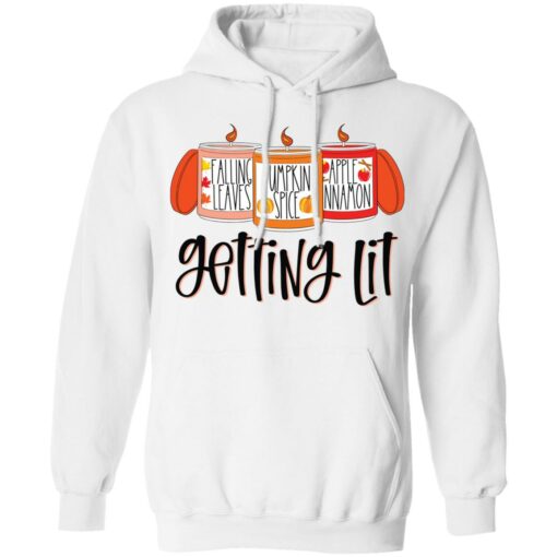 Falling leaves pumpkin spice apple nnamon getting lit shirt