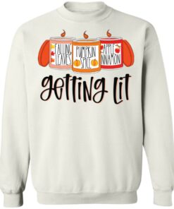 Falling leaves pumpkin spice apple nnamon getting lit shirt 3