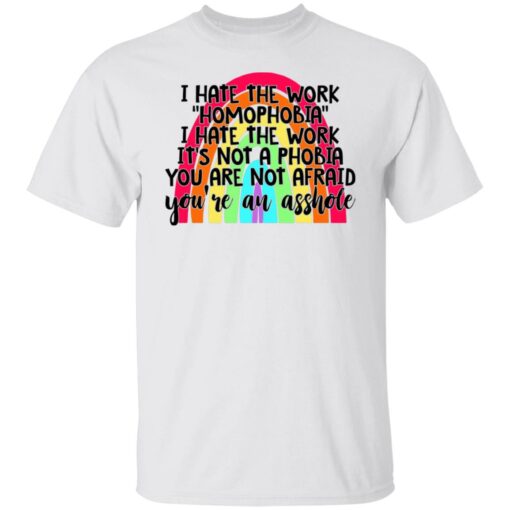 I hate the word homophobia i hate the work shirt