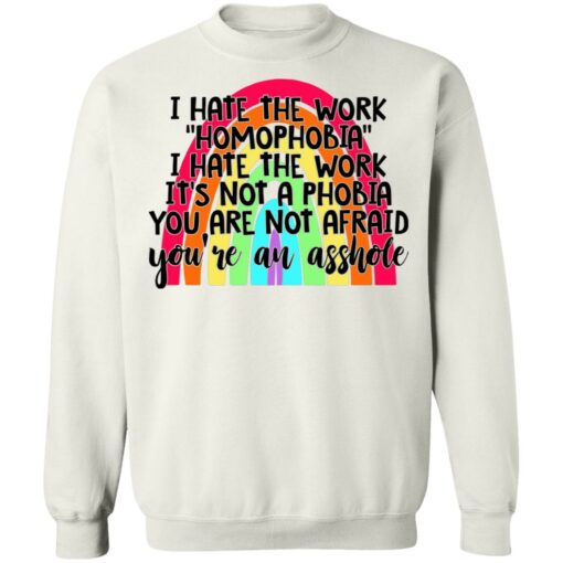 I hate the word homophobia i hate the work shirt