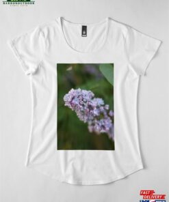 Lilacy Premium Scoop T Shirt Classic 3