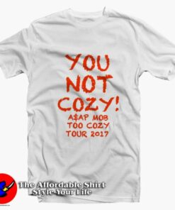 You Not Cozy Asap Rocky New York Attitude Tour T-Shirt On Sale