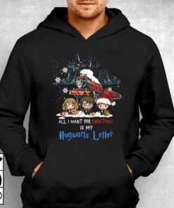 All I Want For Christmas Is My Hogwarts Letter Unisex T-shirt 2 All I Want For Christmas Is My Hogwarts Letter Unisex T shirt 3