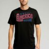 America The Beautiful Retro Vintage American 4th Of July T-shirt