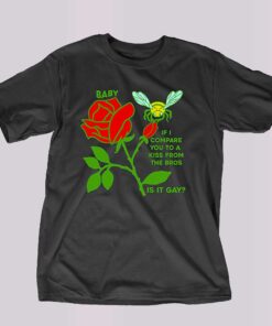 Baby If I Compare You To A Kiss From The Bros Is It Gay Shirt