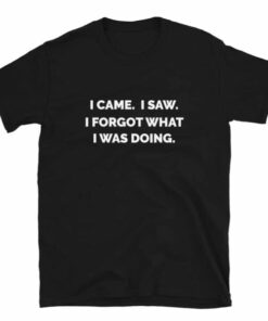 I Came. I Saw. I Forgot What I Was Doing T-Shirt 2 I Came I Saw I Forgot What I Was Doing T Shirt 3