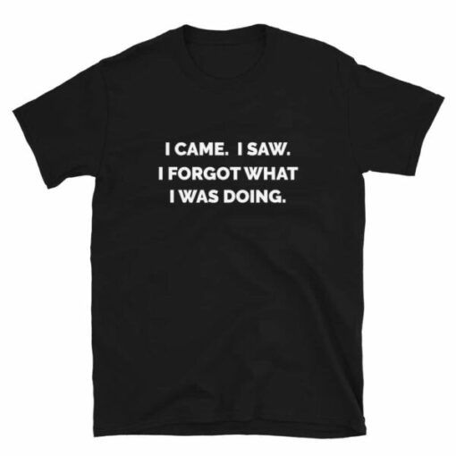 I Came. I Saw. I Forgot What I Was Doing T-Shirt