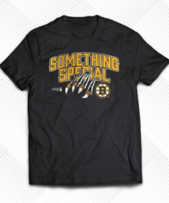Boston Bruins 2023 Stanley Cup Playoffs Something Special T-shirt Boston Bruins 2023 Stanley Cup Playoffs Something Special T-shirt