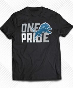 Detroit Lions Local Essential T-shirt Detroit Lions Local Essential T-shirt
