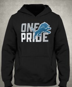 Detroit Lions Local Essential T-shirt 2 Detroit Lions Local Essential T shirt 3