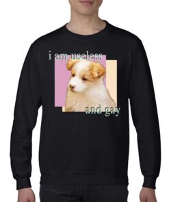 Dog I Am Useless And Gay Shirt 4