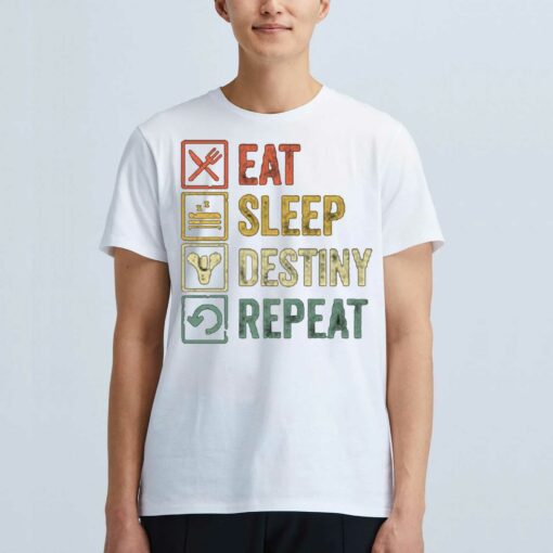 Eat Sleep Destiny Repeat Hoodie