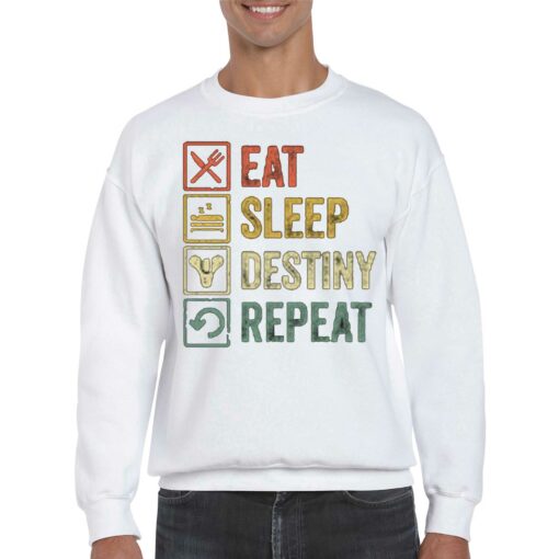 Eat Sleep Destiny Repeat Hoodie