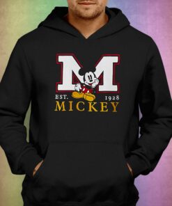 Hollister Disney Sweatshirt Hoodie 2 Hollister Disney Sweatshirt Hoodie 3