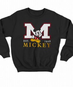 Hollister Disney Sweatshirt Hoodie 3 Hollister Disney Sweatshirt Hoodie 4