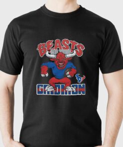 Houston Texans Beasts Of The Gridiron Shirt