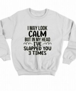 I May Look Calm But In My Head T shirt 4