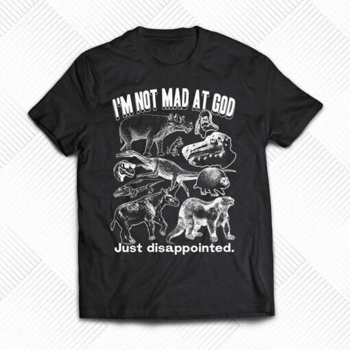 I’m Not Mad At God Just Disappointed Shirt