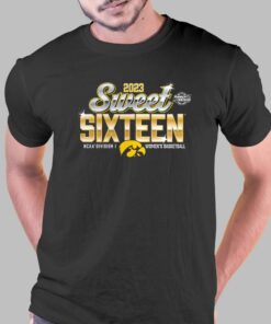 Iowa Hawkeyes 2023 Ncaa Women’s Ice Hockey National Champions T-shirt Iowa Hawkeyes 2023 Ncaa Women’s Ice Hockey National Champions T-shirt