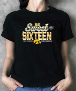 Iowa Hawkeyes 2023 Ncaa Women’s Ice Hockey National Champions T-shirt