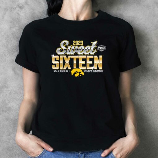 Iowa Hawkeyes 2023 Ncaa Women’s Ice Hockey National Champions T-shirt