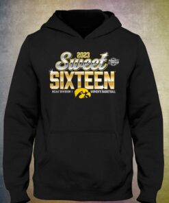 Iowa Hawkeyes 2023 Ncaa Women's Ice Hockey National Champions T-shirt 2 Iowa Hawkeyes 2023 Ncaa Womens Ice Hockey National Champions T shirt 3