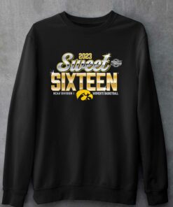 Iowa Hawkeyes 2023 Ncaa Women's Ice Hockey National Champions T-shirt 3 Iowa Hawkeyes 2023 Ncaa Womens Ice Hockey National Champions T shirt 4
