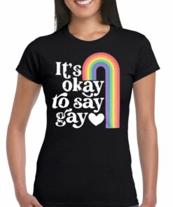 It’s Okay To Say Gay T-shirt It’s Okay To Say Gay T-shirt