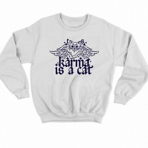 Karma Is A Cat Taylor Swift T-shirt Hoodie