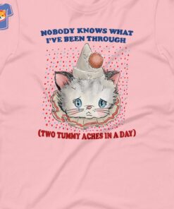 Nobody Knows What I’ve Been Through Two 2 Tummy Aches Unisex T-shirt