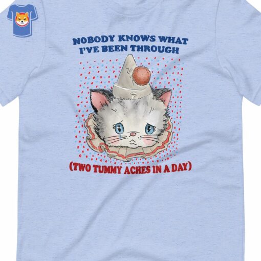 Nobody Knows What I’ve Been Through Two 2 Tummy Aches Unisex T-shirt