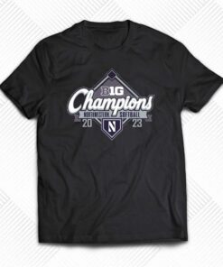 Northwestern Wildcats 2023 Big Ten Softball Regular Season Champions T-shirt