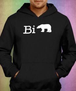 Official Bi Bear Hoodie Sweatshirt 2 Official Bi Bear Hoodie Sweatshirt 3