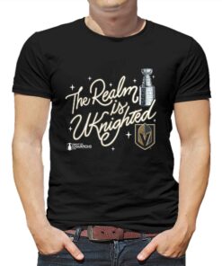 Official Vegas Golden Knights 2023 Stanley Cup Champions Celebration T-shirt Official Vegas Golden Knights 2023 Stanley Cup Champions Celebration T-shirt