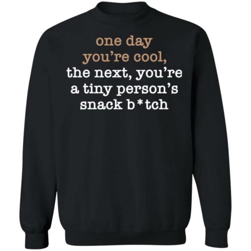 One Day You’re Cool The Next You’re A Tiny Person’s Snack Bitch Shirt