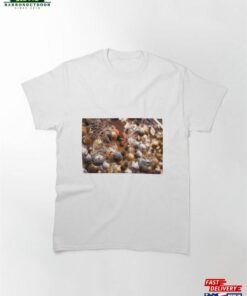 Christmas Decorations Holiday Season Background Classic T-Shirt Sweatshirt