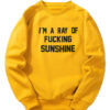 I’m A Ray Of Fucking Sunshine Sweatshirt