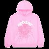 A Pink Spider Web Hoodie  Get Up to 30 Discount
