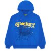 Blue Spider Hoodie  Get Upto 30 OFF  Limited Stocks