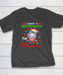 I Want A Hippopotamus For Christmas Funny Hippo Gifts T-Shirt