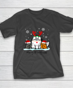 Merry Fluffmas Funny Cat Lover Christmas Gift T-Shirt